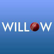 Willow TV APK icon